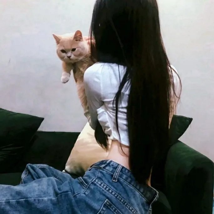 追梦小海豚